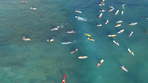 Surfers Riding The Waves In The Open Sea