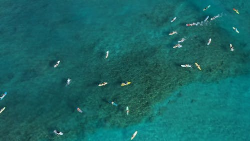 Surfers Riding Waves In The Open Sea