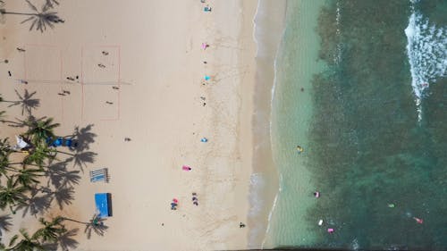 Top View of People on Beach