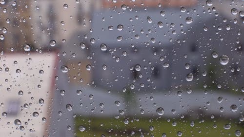 Close-Up View of Water Drops on Window