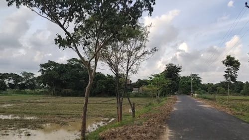 Farm Lands in The Countryside