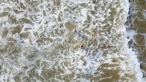 Top View of People Swimming in Beach Shore