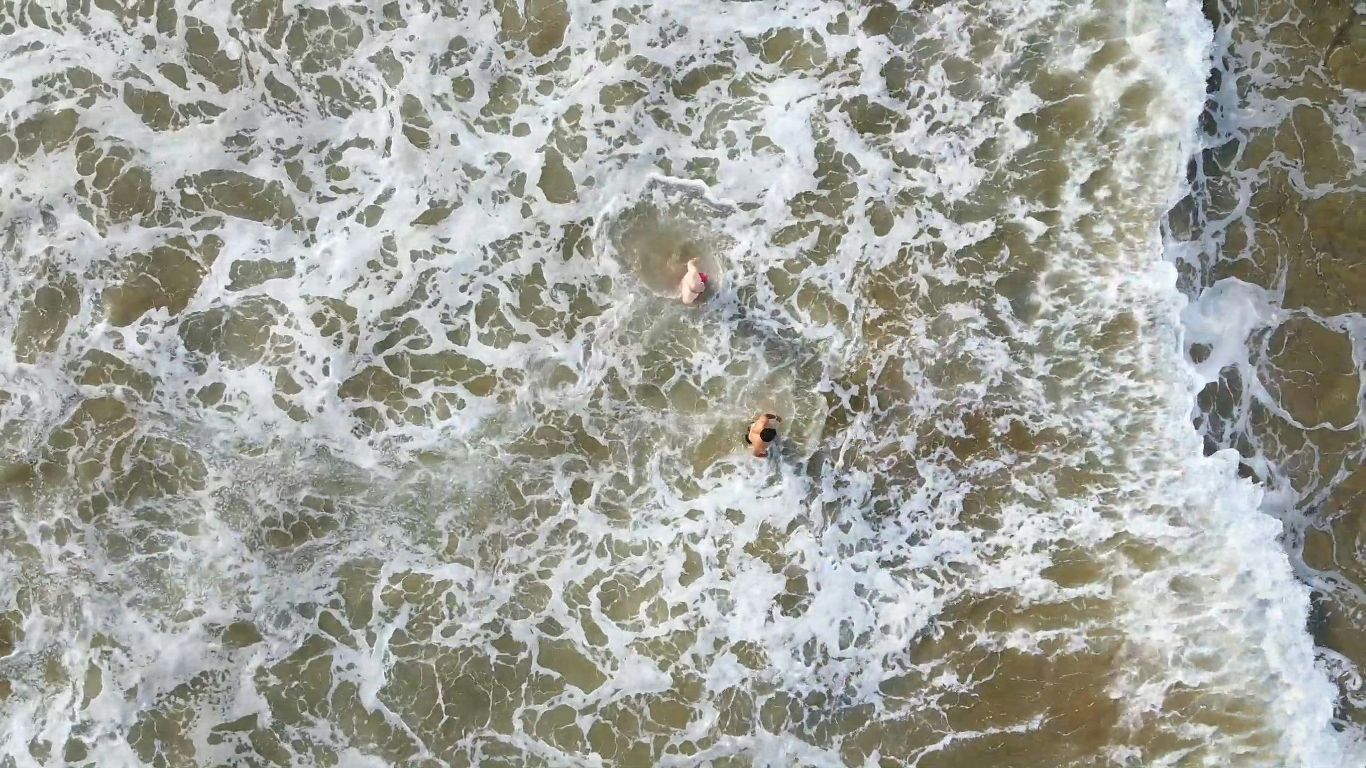 Top View of People Swimming in Beach Shore · Free Stock Video
