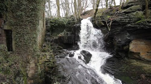 A Waterfall Cascading Down to a River