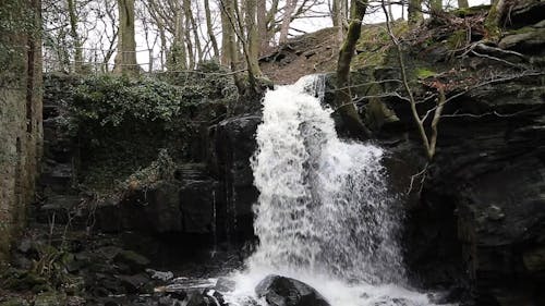 A Waterfall in the Woodland