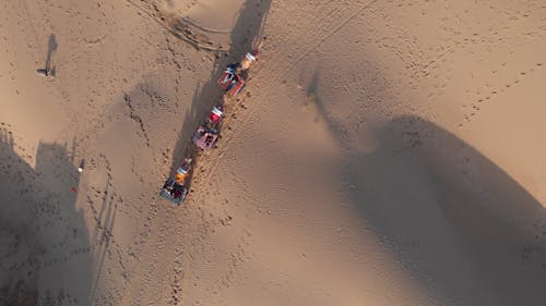 Drone Footage of a Walking Camel in the Desert