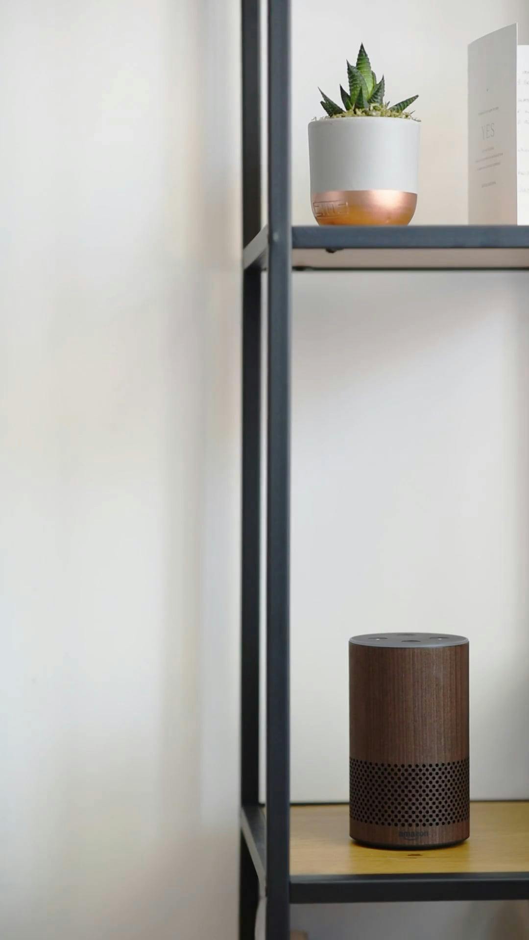 Video by Anete Lusina