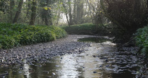 Water Flowing in River