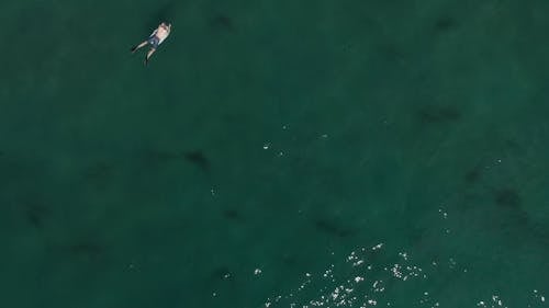 Swimmers Using Floaters In The Beach