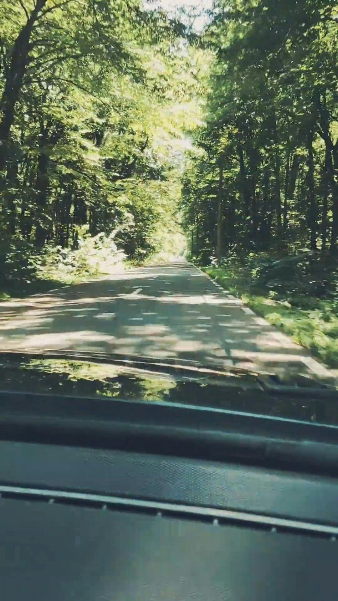 Video by Ion Ceban  @ionelceban