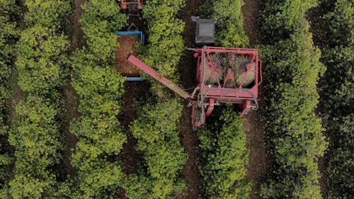 Drone Footage Of Tractor Harvesting On A Farmland