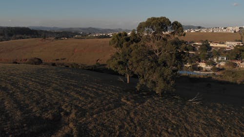 Drone View Of A Vast Land At Sunset