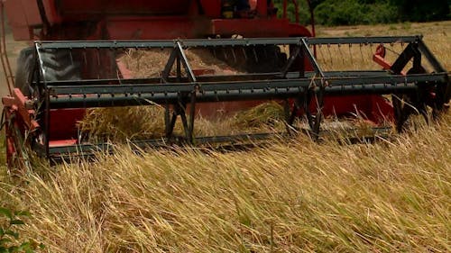 Video Of Tractor Cultivating The Land