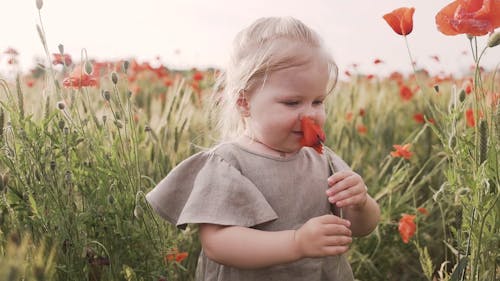 Girl Smelling Red Poppy Flower