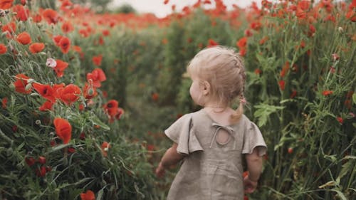 Girl Walking Between Red Poppy Flowers