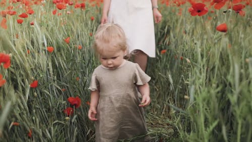 Girl Walking Between Red Poppy Flowers