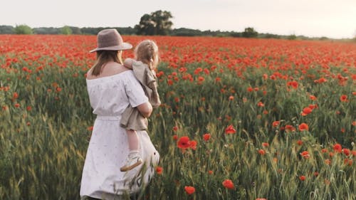 Woman Walking on Red Poppy Flower Field While Carrying Her Baby