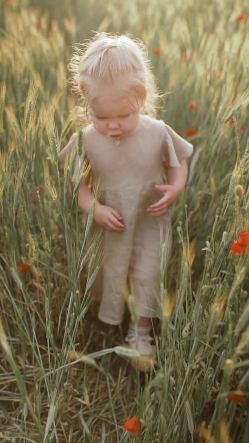 Girl Walking in Wheat Field