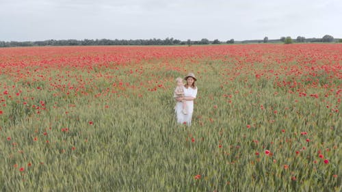 Video Of Mother Carrying Her Child While Walking On Flower Field 