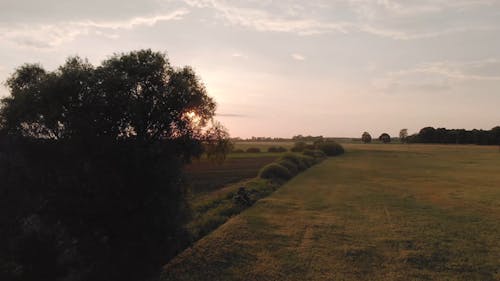 Scenic Video Of Farm Field During Dawn