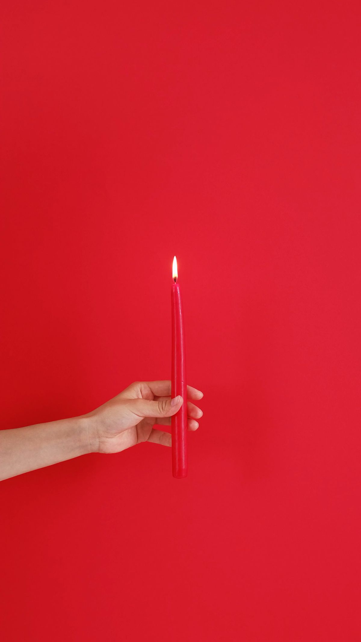 Candlestick Charting For Dummies Videos Download Free 4k Stock Video 