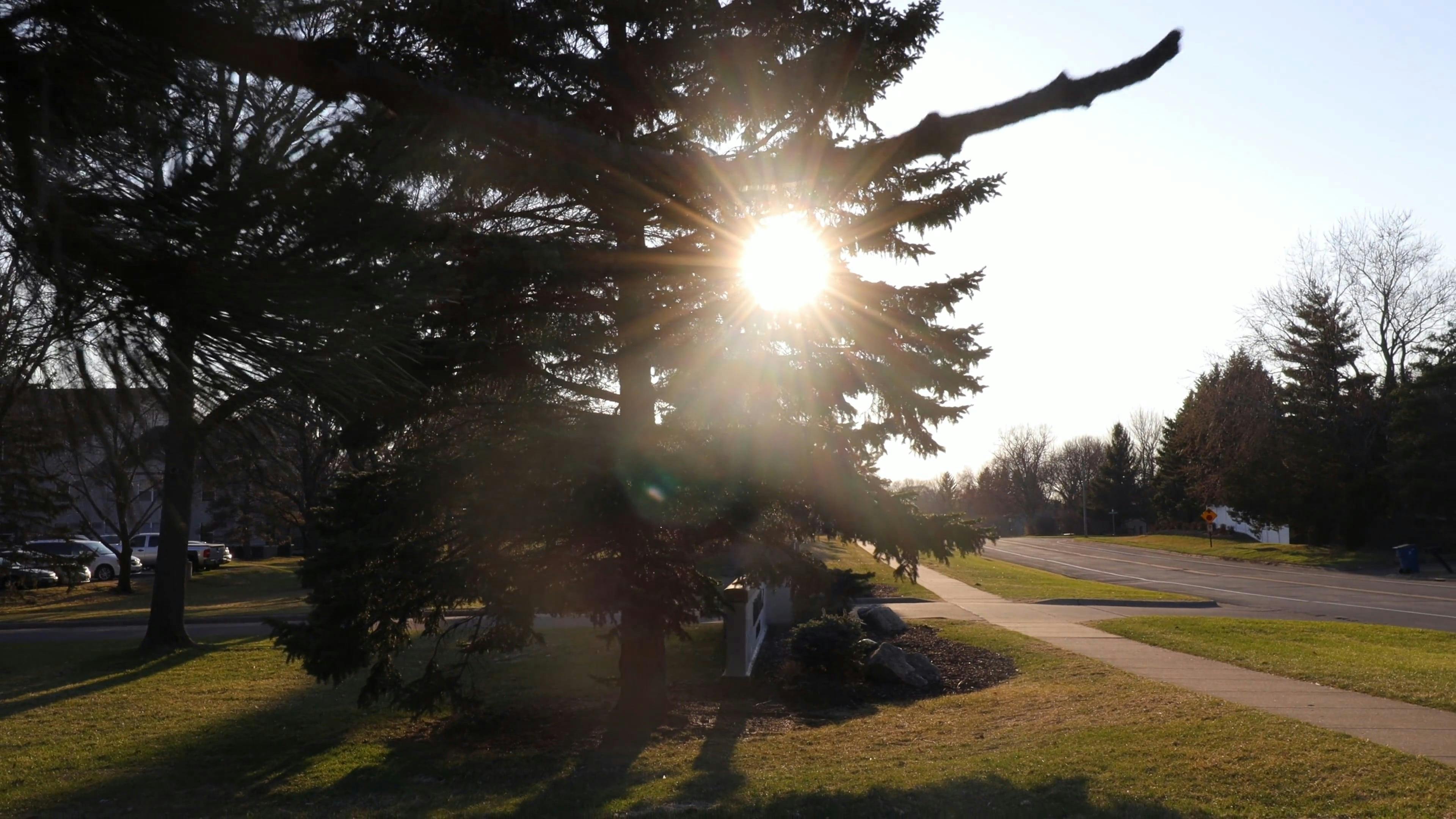 Video by Chris Flaten