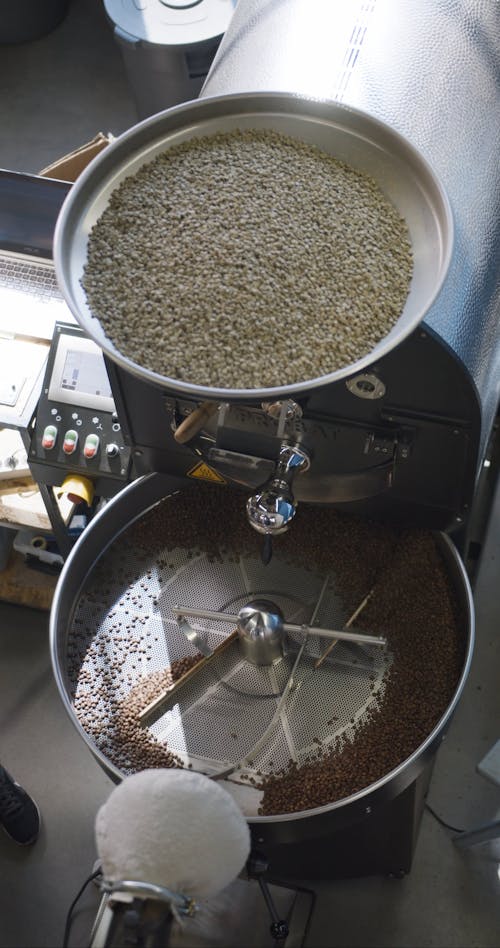 Machines Used In Processing Beans