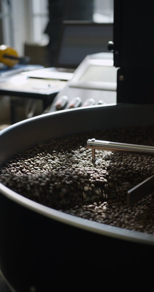 Machinery Used In Processing Coffeee Beans