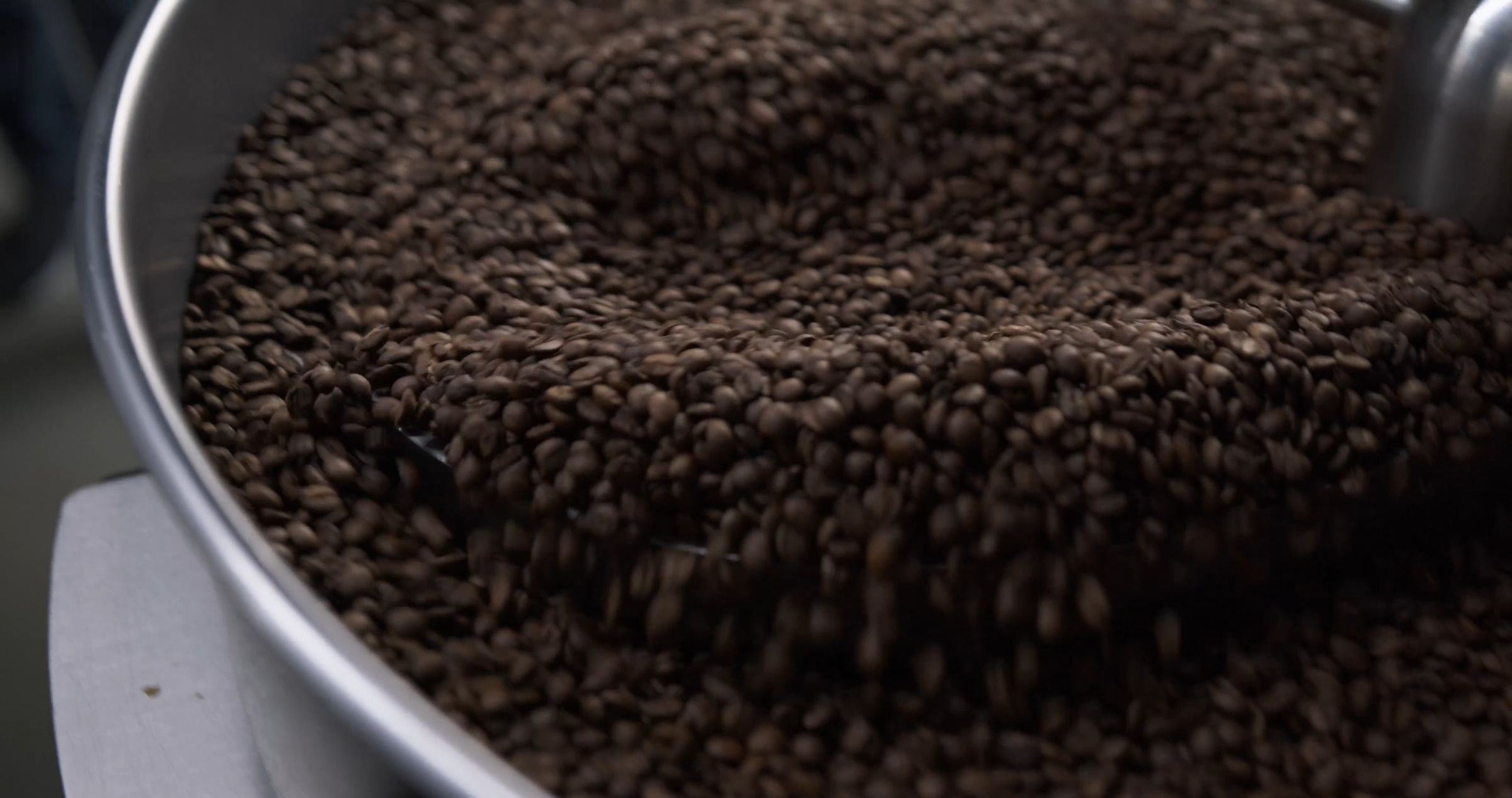 Roasted coffee beans in industrial cooling tray