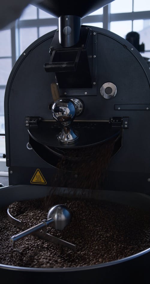 Spinning Fresh Roasted Coffee Beans On A Cooling Machine