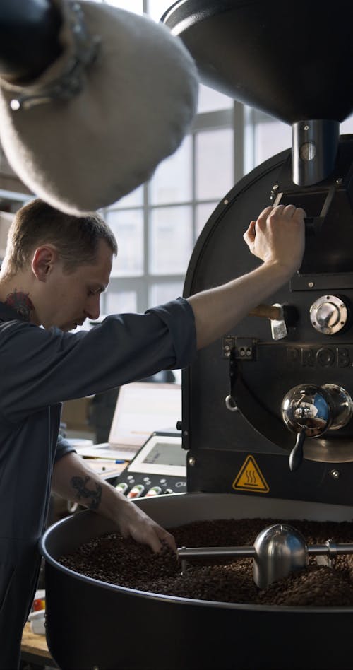 Ein Mann, Der Frisch Gerösteten Kaffee Prüft, Der Abgekühlt Wird