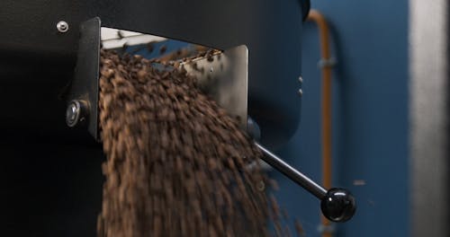 übertragen Gekühlter Gerösteter Kaffeebohnen