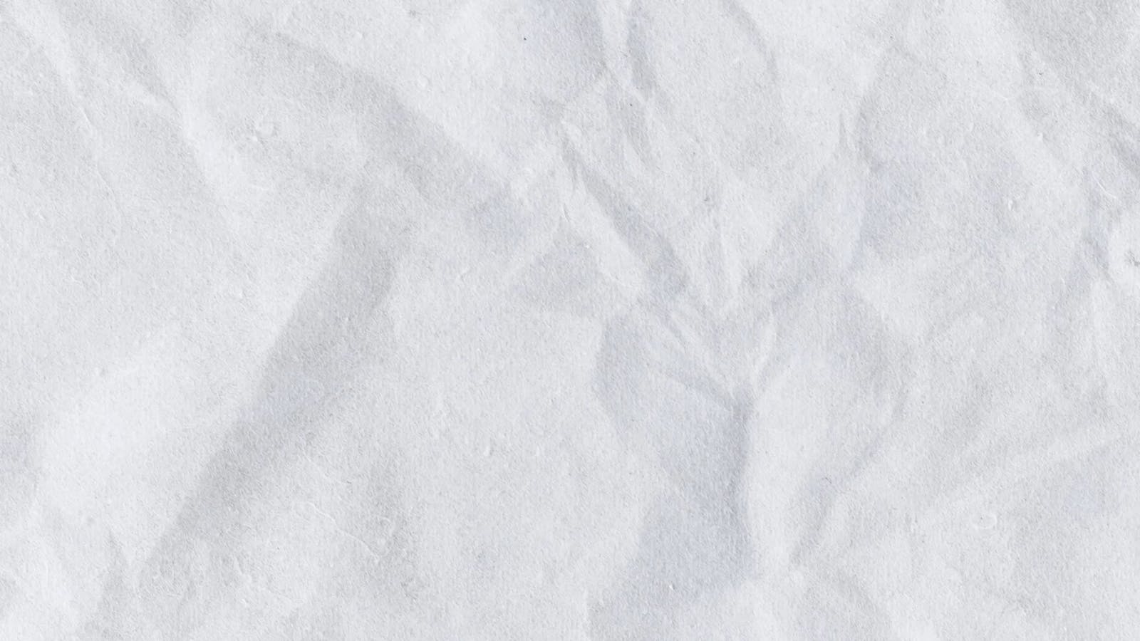 Hd Plain Wall White Background Videos, Download The BEST Free 4k Stock