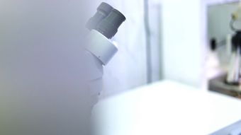 生物实验室高清视频高清视频视频素材