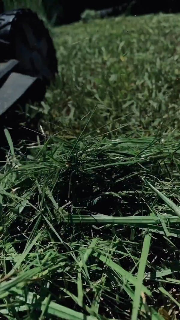 Cutting Grass Videos, Download The BEST Free 4k Stock Video Footage