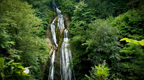 Flowing Waterfalls in Forest