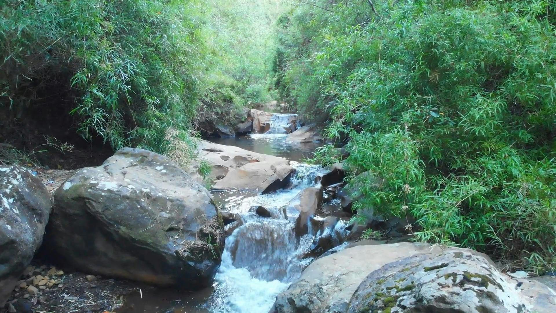 Drone Footage of a Water Stream · Free Stock Video