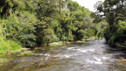 Drone Footage of a River