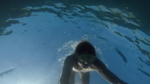 Person Snorkel in the Ocean