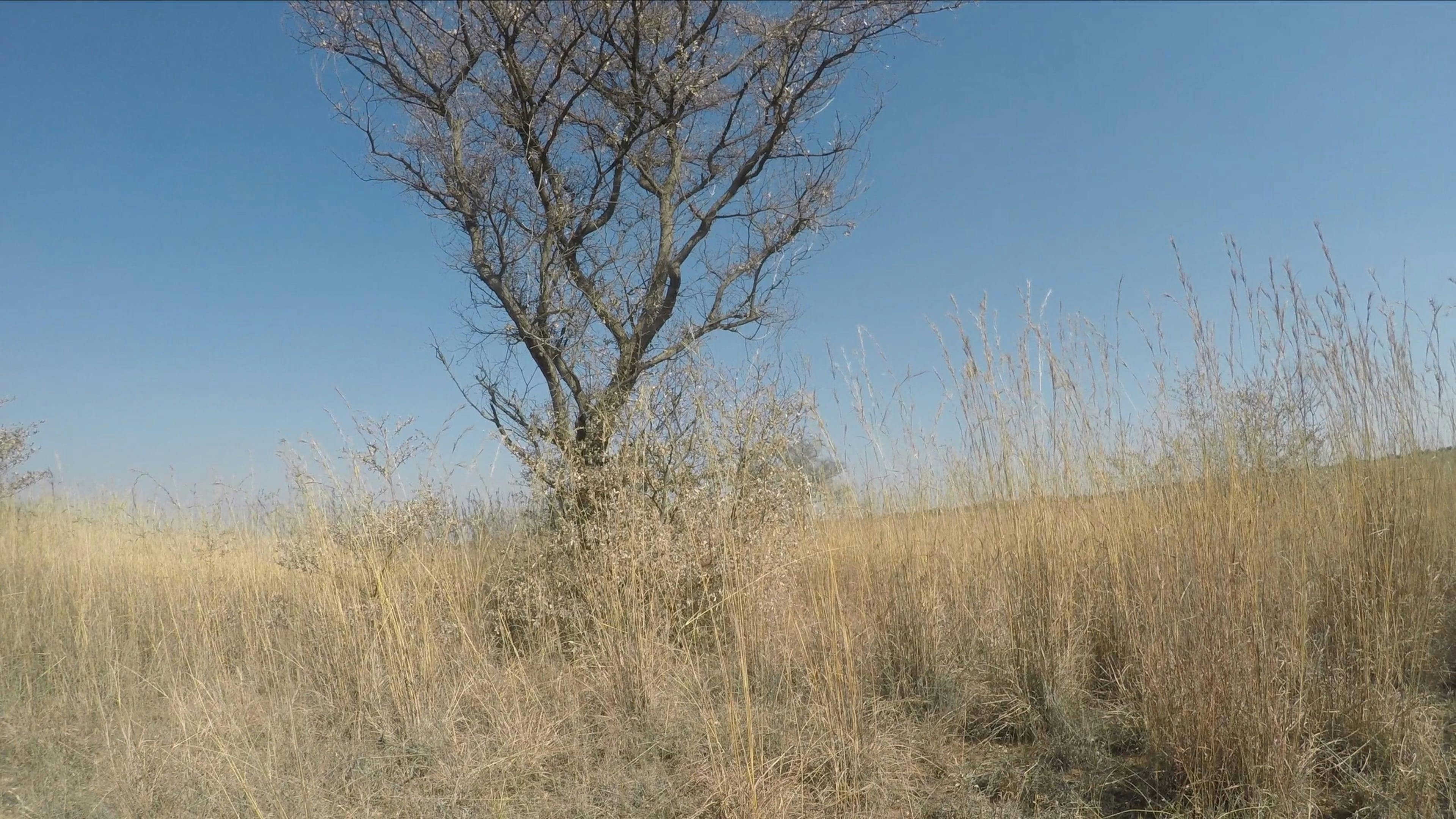 Video Footage Of A Wide Barren Land · Free Stock Video