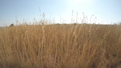 Video Footage Of The Surroundings Taken On A Road Travel