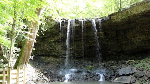 Footage of a Waterfalls into the Woods