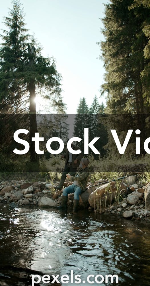 Free Stock Videos of Reel, Stock Footage in 4K and Full HD