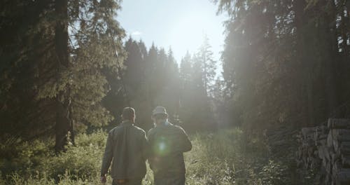 Two Men Walking in Forest