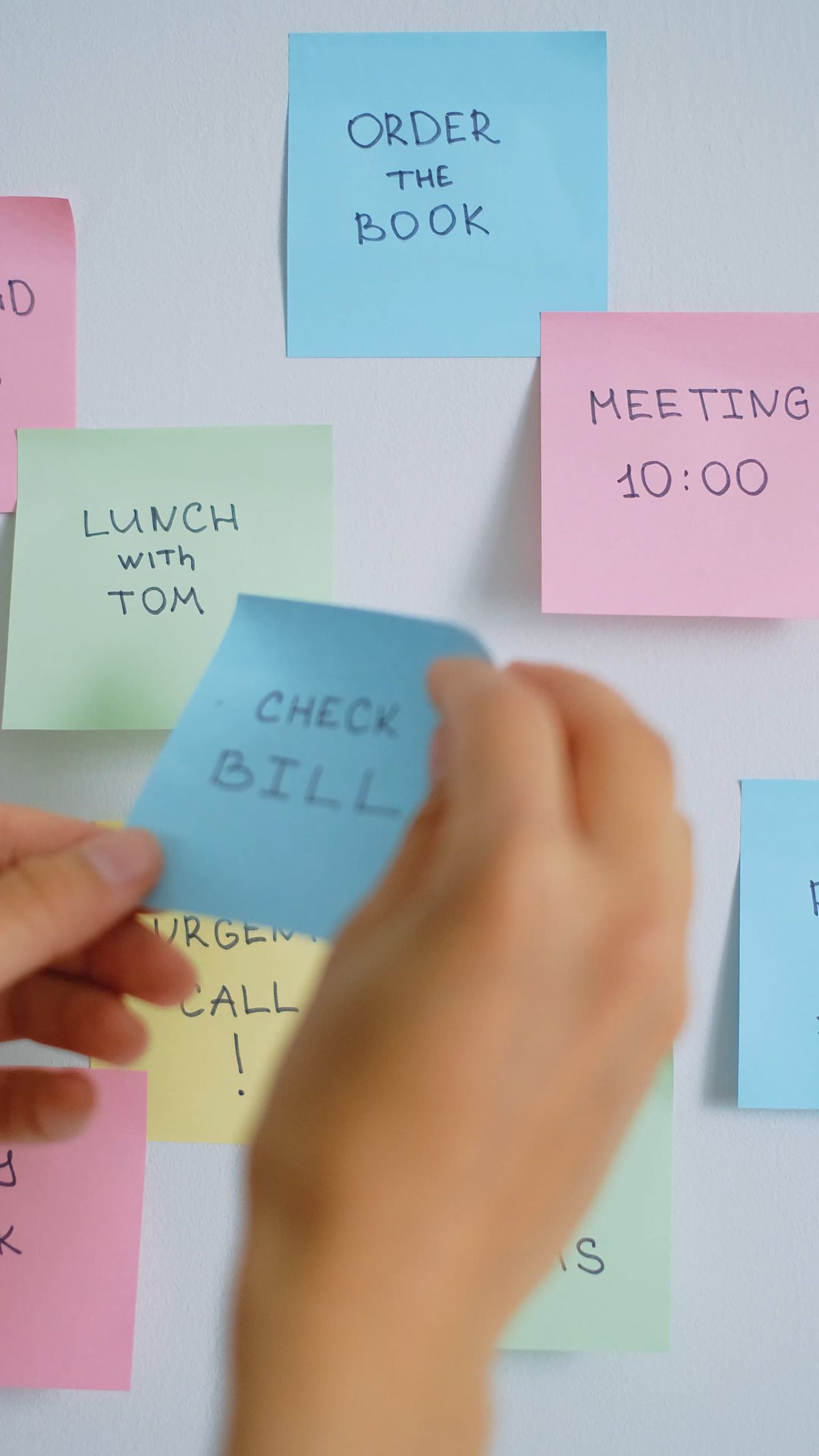 Woman Writing in Sticky Note Free Stock Video Footage, Royalty-Free 4K ...