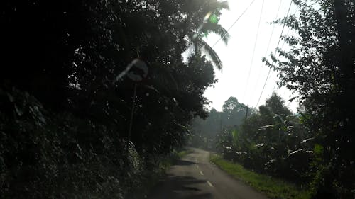 Traveling In A Narrow And Curvy Road