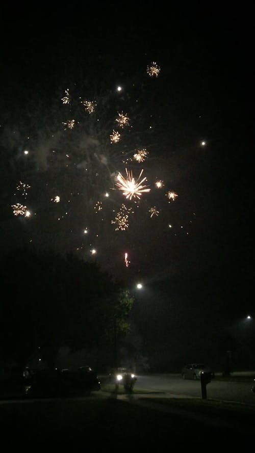 Fireworks Display In The Sky At Night