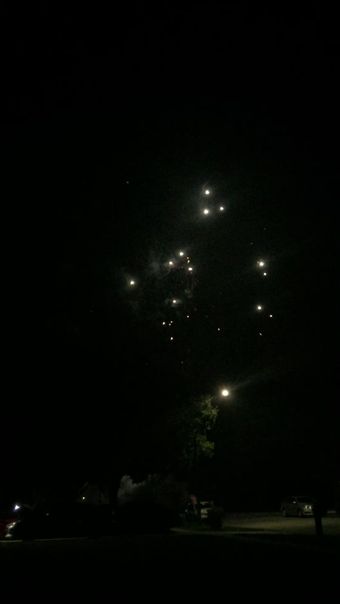 萤火虫视频素材