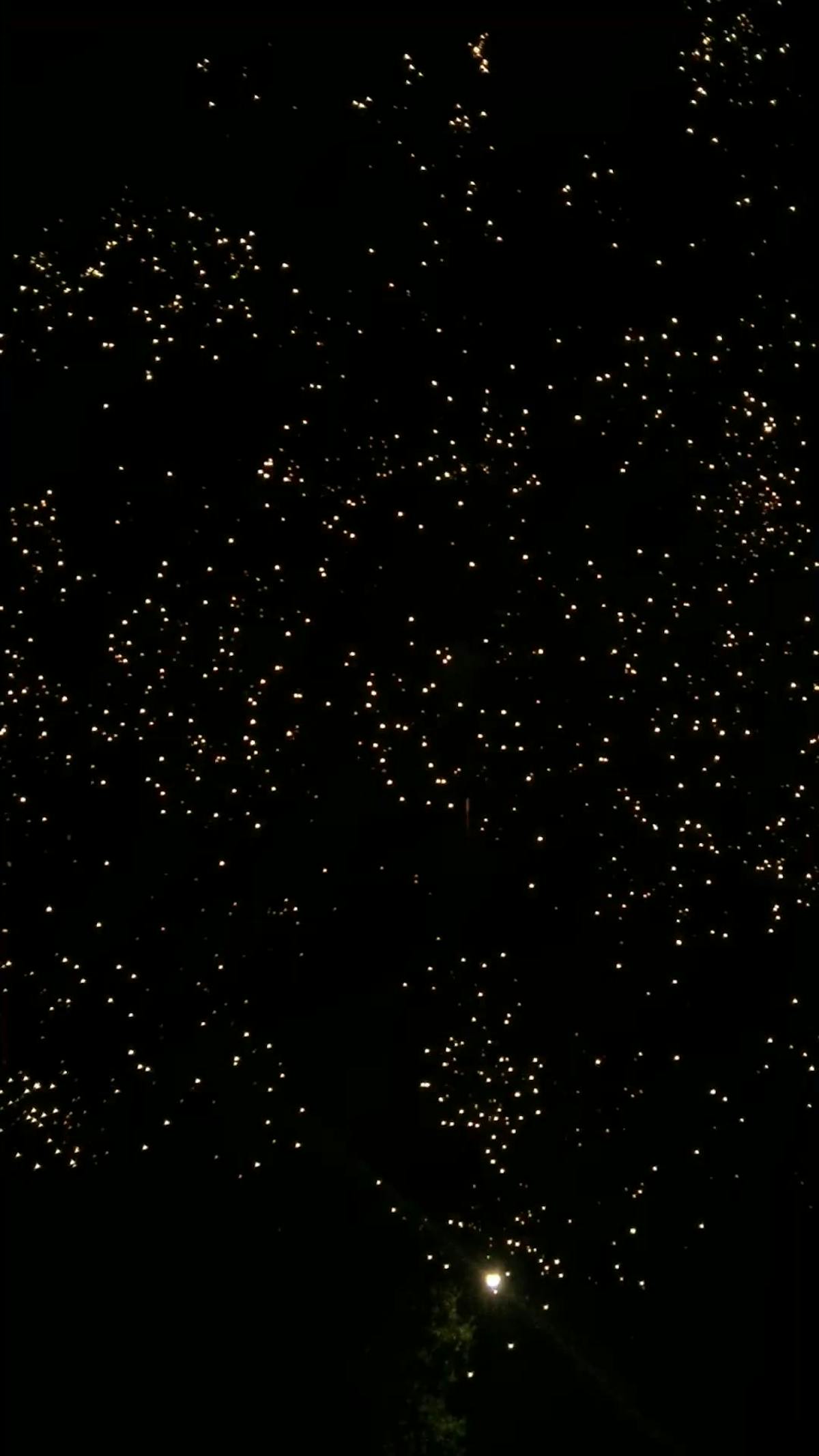 Fireworks No Background Videos, Download The BEST Free 4k Stock Video ...