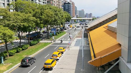 Footage of a Pedestrian Crossing in the City